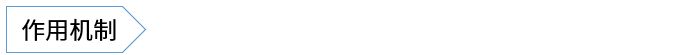 作用机制.png